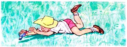 Шурик у дедушки. Рассказы - pic_7.jpg