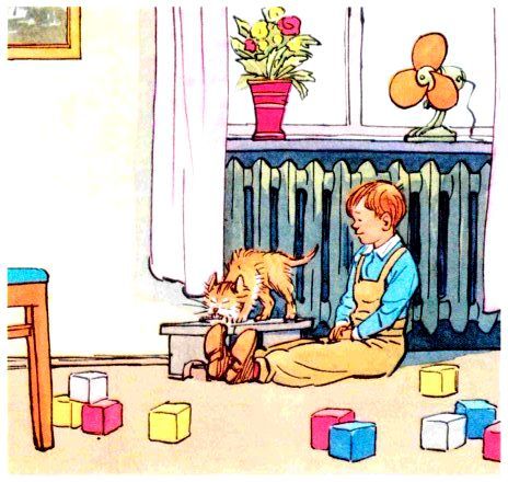 Шурик у дедушки. Рассказы - pic_12.jpg