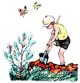 Шурик у дедушки. Рассказы - pic_18.jpg