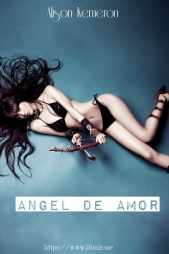 Angel de Amor (СИ) - автор 