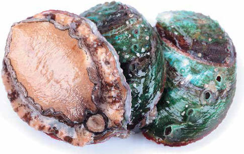 Кулинарная энциклопедия. Том 1. А (А ля карт – Аэрофритюрница) - _2.jpg