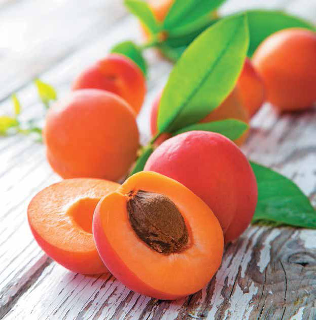 Кулинарная энциклопедия. Том 1. А (А ля карт – Аэрофритюрница) - _4.jpg