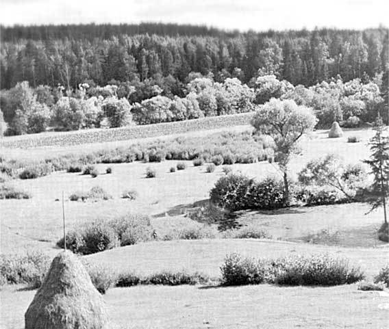 Островский в Берендеевке - i_007.jpg