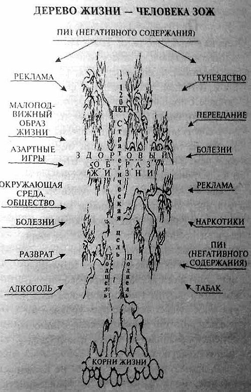 Энциклопедия долгожительства - _05.jpg