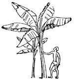 Справочник по такелажным работам - pic_1.jpg