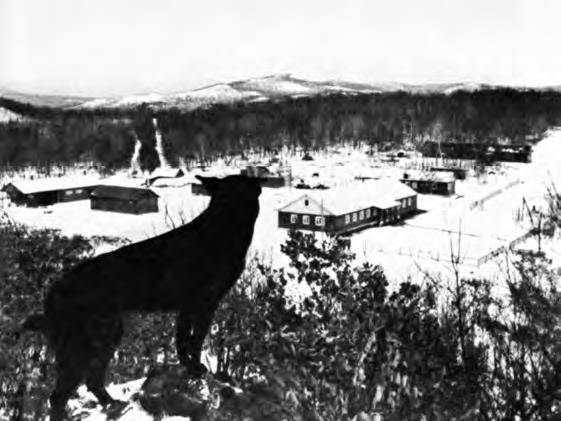 Советско-китайские войны. Пограничники против маоистов - i_001.jpg