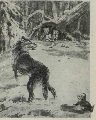 Беглец (худ. А.Ритов) - _6.jpg