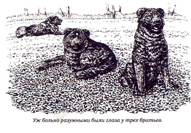 Утраченная реликвия - i_002.jpg