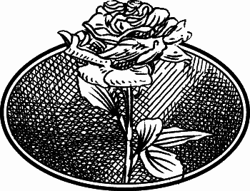 Английская лаванда - _033.png