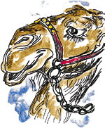 Деде Коркут - i_016.png