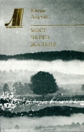  Апутис Юозас - Мост через Жальпе