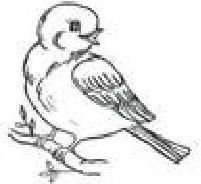 Сказки Белого воробья - b00000026.jpg