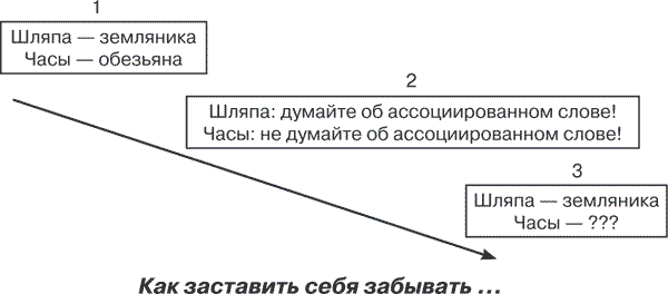 Удивительные истории о мозге, или Рекорды памяти коноплянки - i_001.png