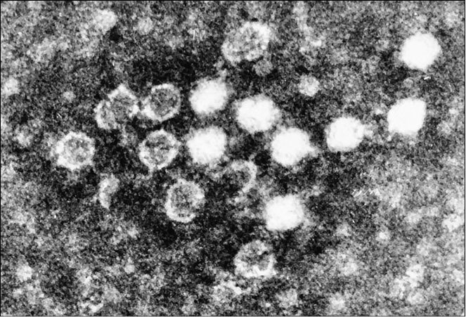 100 великих загадок современной медицины - i_021.jpg