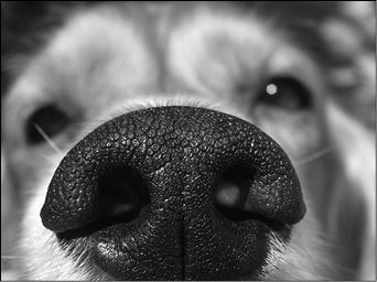 100 великих загадок современной медицины - i_023.jpg