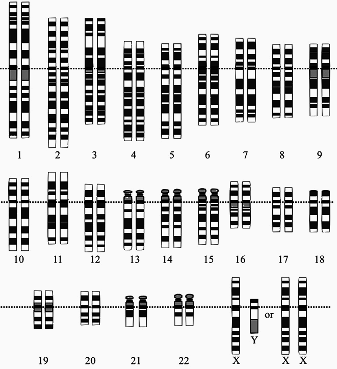 100 великих загадок современной медицины - i_025.png