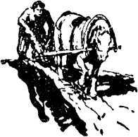 Вчера, сегодня, завтра - i_009.jpg