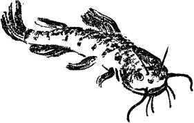 Мой живой уголок - i_018.jpg