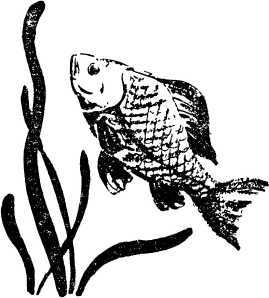 Мой живой уголок - i_019.jpg