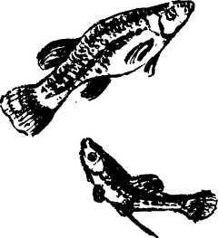 Мой живой уголок - i_023.jpg