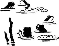 Мой живой уголок - i_027.jpg