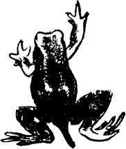 Мой живой уголок - i_029.jpg