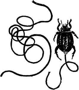 Мой живой уголок - i_044.jpg