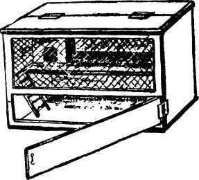 Мой живой уголок - i_056.jpg