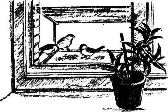 Мой живой уголок - i_077.jpg