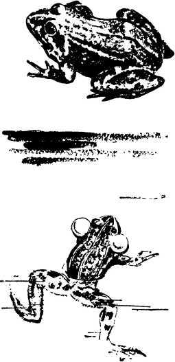 Мой живой уголок - i_085.jpg