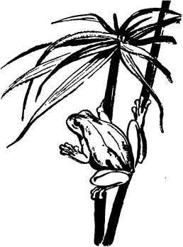 Мой живой уголок - i_087.jpg