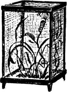 Мой живой уголок - i_092.jpg