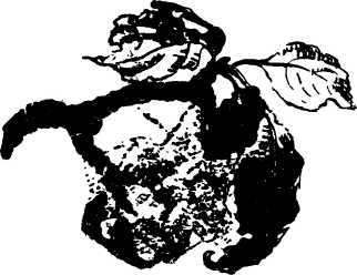 Мой живой уголок - i_102.jpg