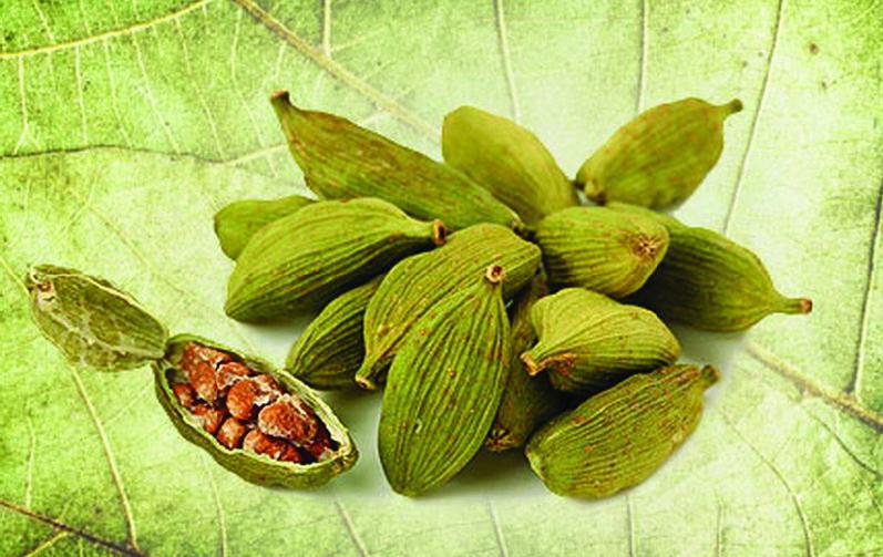 25 любимых специй - _016_2.jpg