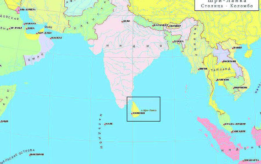 25 любимых специй - _018.jpg