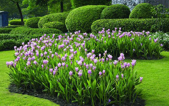 25 любимых специй - _027.jpg