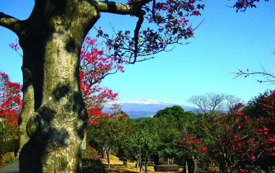 25 любимых специй - _037.jpg