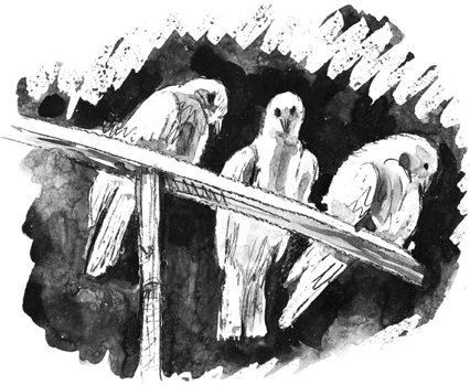 За секунду до взрыва - i_003.png