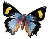 Придумано девочками - _73.jpg