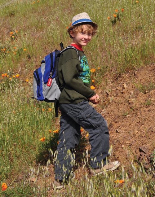 Ученик во взаимодействии с миром, знанием, самим собой. Новая стратегия, новые технологические решения - i_012.jpg