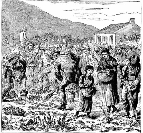 Космос моей жизни (сборник) - i_022.jpg