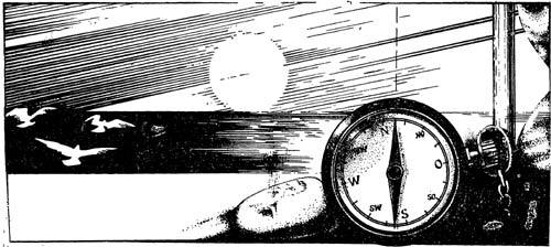 День первый - sle0026.jpg