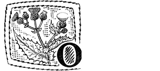 Желтая акация - i_006.png