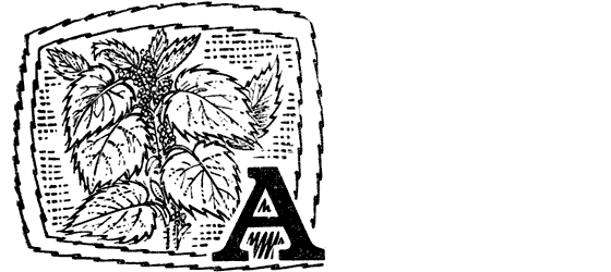 Желтая акация - i_027.png