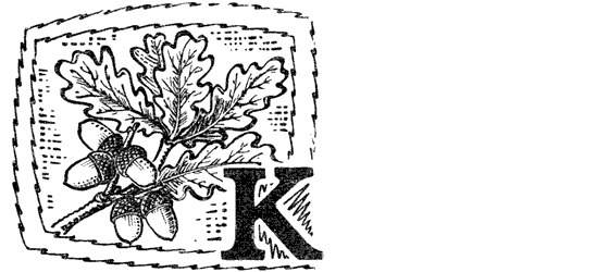 Желтая акация - i_033.png