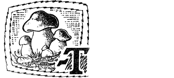 Желтая акация - i_038.png