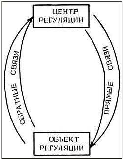 Старение и увеличение продолжительности жизни - _03.jpg
