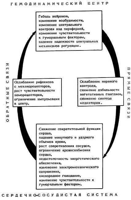 Старение и увеличение продолжительности жизни - _31.jpg