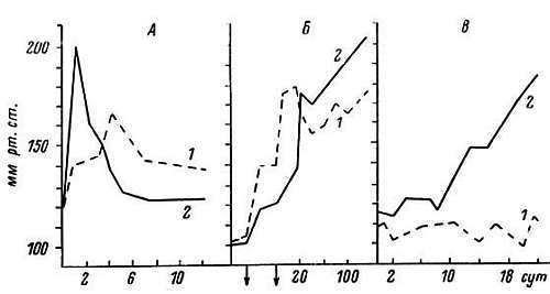 Старение и увеличение продолжительности жизни - _32.jpg
