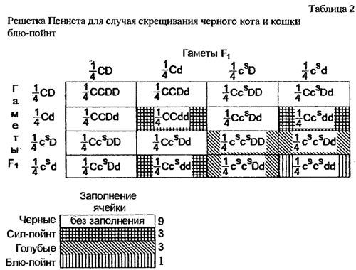 Кошки. Генетика и племенное разведение - t2.jpg